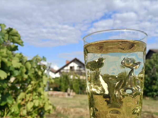 Pfälzer Dubbeglas mit Weißweinschorle vor Weinreben, im Hintergrund Häuser von Diedesfeld unter Wolkenhimmel