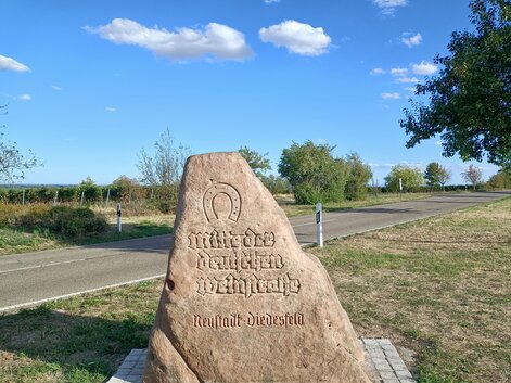 Stein „Mitte der Deutschen Weinstraße“ in Neustadt-Diedesfeld Sandsteinfindling mit Hufeisen und Inschrift „Mitte der Deutschen Weinstraße – Neustadt-Diedesfeld“ an einer Straße