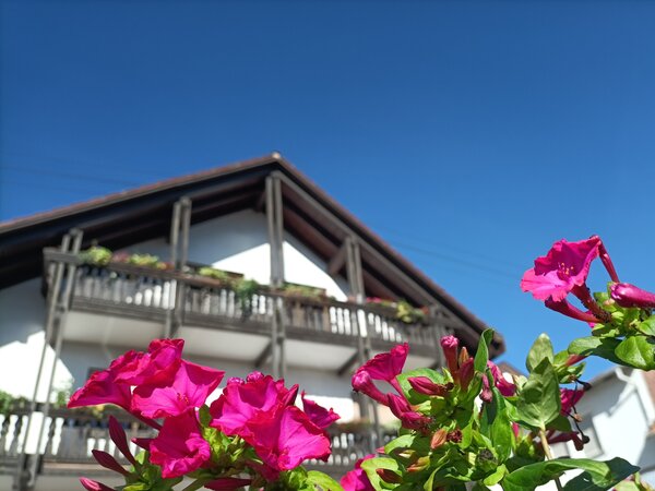 Pinke Blüten im Vordergrund, dahinter das weiße Gästehaus mit Holzbalkonen und Blumenkästen unter blauem Himmel