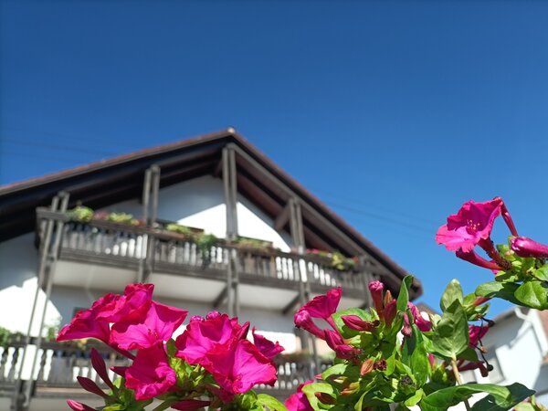 Pinke Blüten im Vordergrund, dahinter das weiße Gästehaus mit Holzbalkonen und Blumenkästen unter blauem Himmel